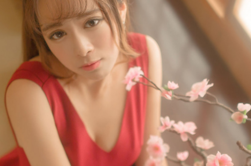 上海ngab站后花园