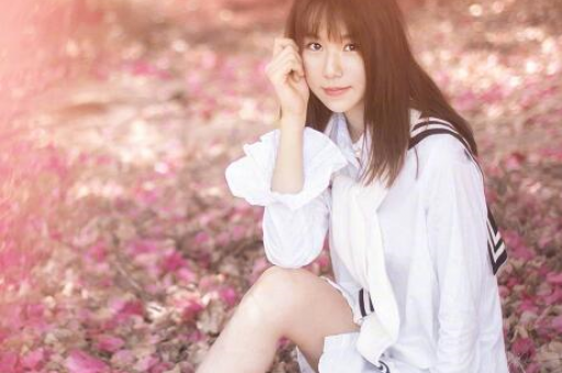 上海后花园交友论坛(上海交友论坛：花园里的缘分)  第1张
